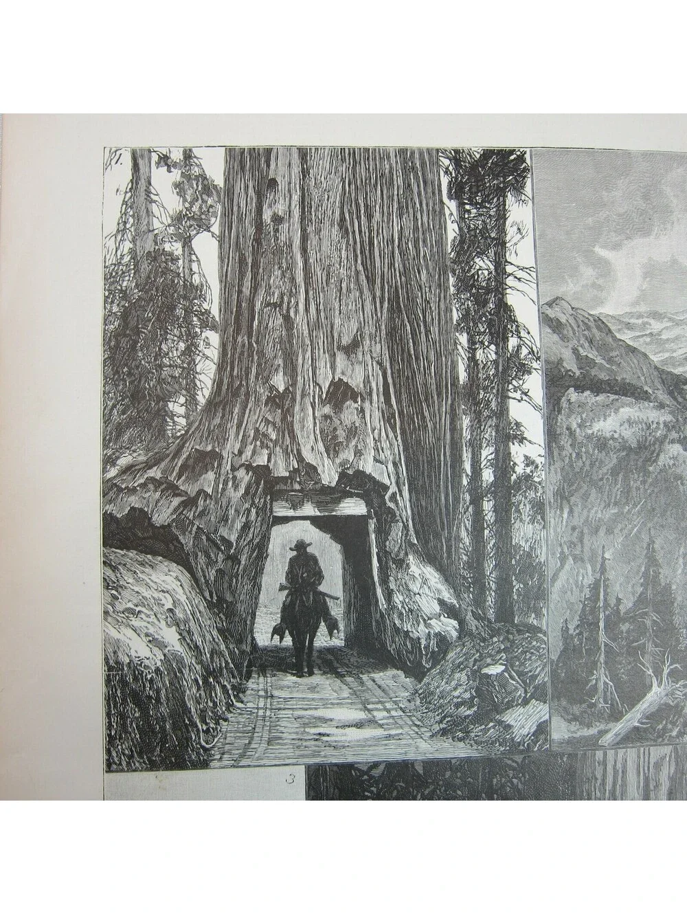 Antique 1888 Print Californian Sketches Mammoth Trees Rocks and Mountain Scenery